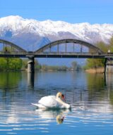 Lake Como in Style: Your Exclusive Corporate Retreat | Autumn–Winter Edition